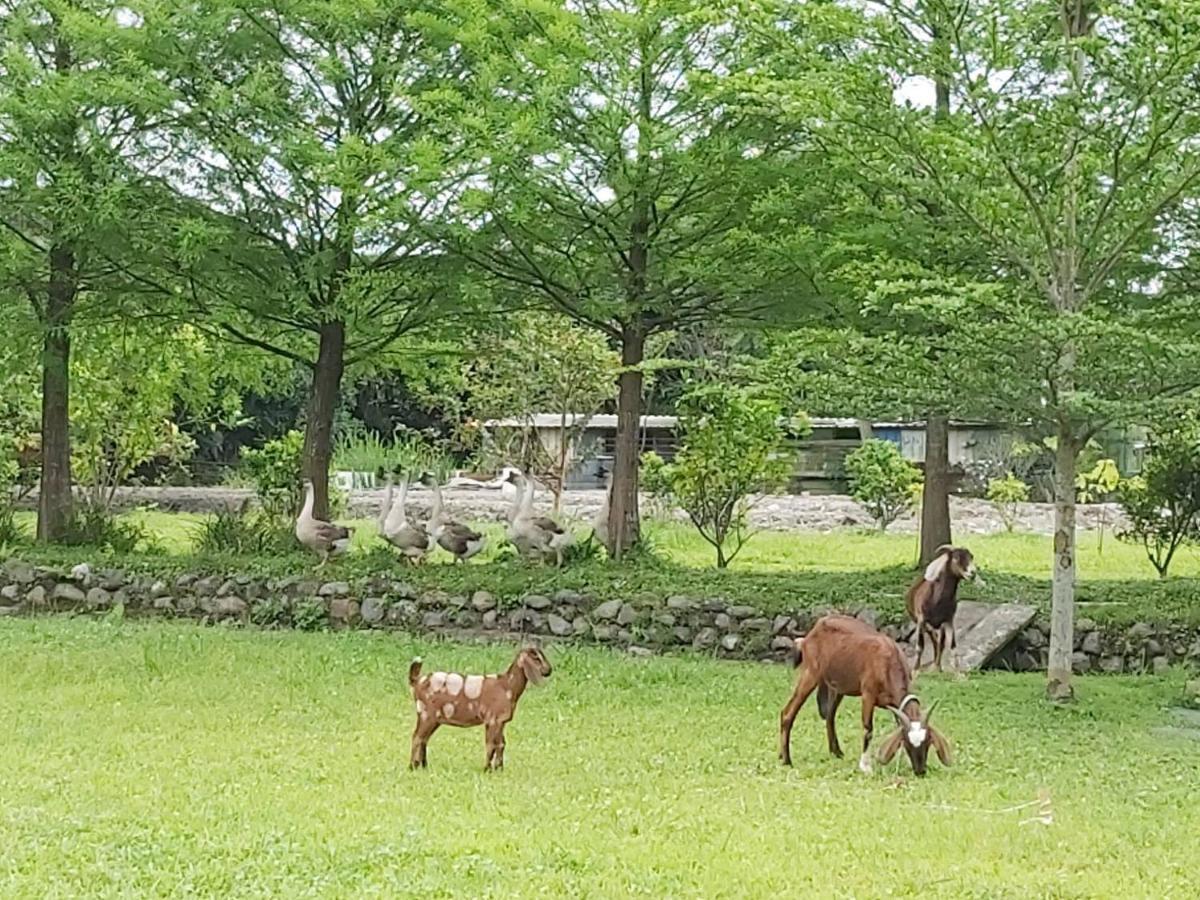 Meihua Lake Leisure Farm Дуншань Екстер'єр фото